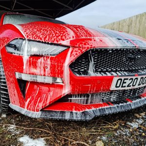 mustang 1